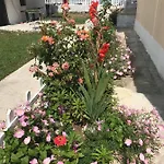 Karaburun Sunset Apartment Orikum